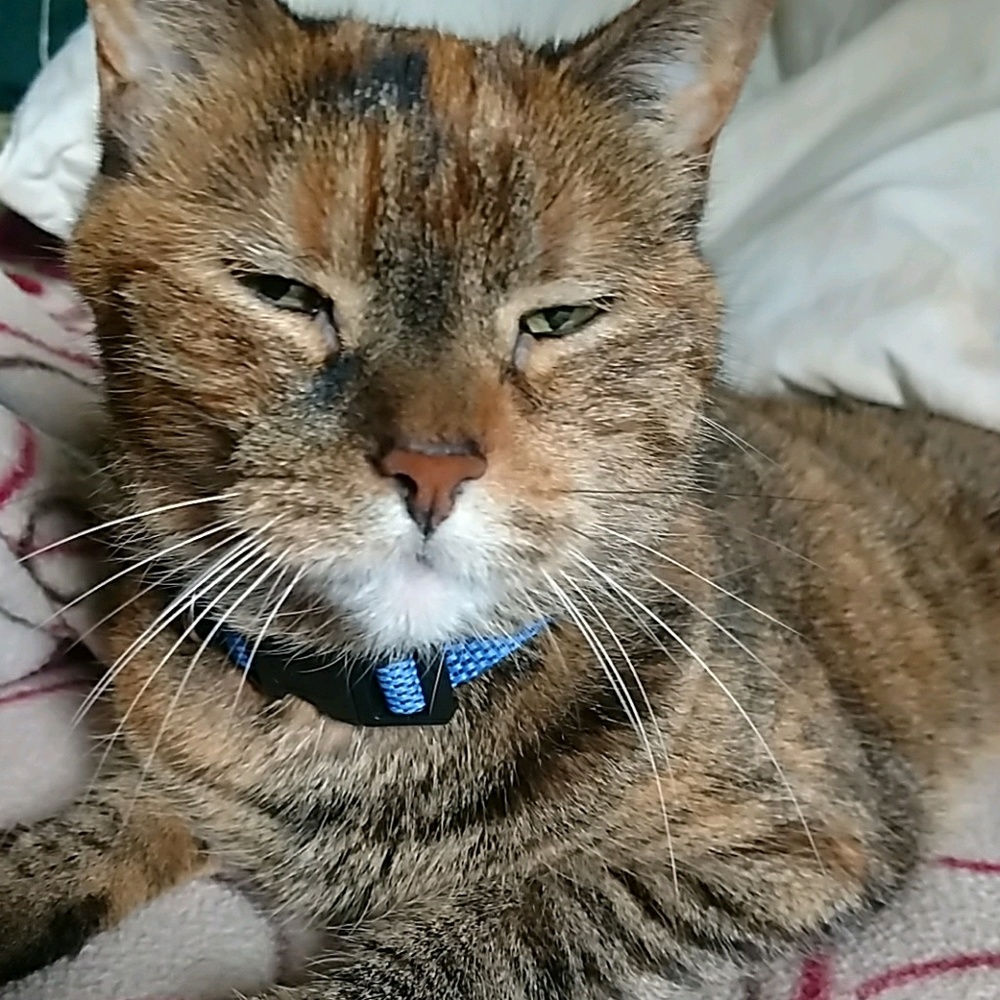 Meet your Posher, Terresa